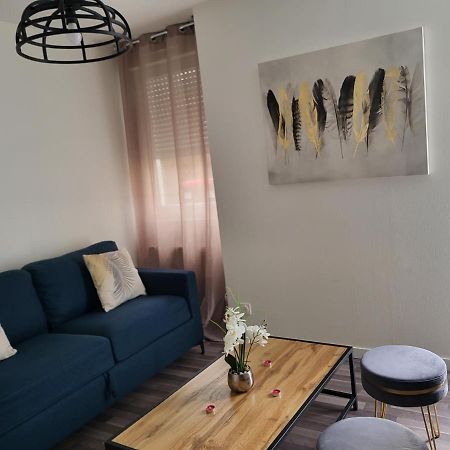 Le Bel'Air Appartement Chaleureux Et Calme Oyonnax Luaran gambar